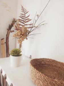 a vase with a plant in it on a table at Casa del Valle Encantado in Galaroza