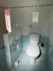 a bathroom with a white toilet and a shower at Chambre de charme au sabluline in Draguignan +8 photos