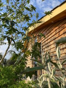 a house with a window on the side of it at Couple's Wood Cabin in Naivasha - Elwai Visitor Centre in Naivasha