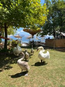 Ảnh trong thư viện ảnh của Hotel Restorant Binjaket ở Pogradec