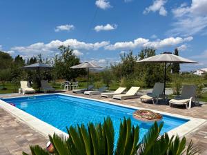 a swimming pool with chairs and umbrellas at Wooden House - Imanje Terzic in Podgorica