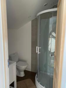 een badkamer met toilet en glazen douche bij L'orangerie in Seignosse +4 foto's