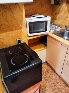 Η κουζίνα ή μικρή κουζίνα στο Small City Garden