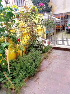 Κήπος έξω από το Small City Garden +3 φωτογραφίες