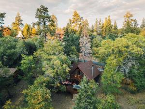 an aerial view of a house in the woods at The Refugio #2552 in Big Bear Lake