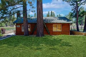 eine kleine Hütte mit zwei Bäumen im Gras in der Unterkunft Meadow-Front Metcalf Bay Gem #542 in Big Bear Lake
