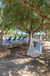 un gruppo di amache appese ad un albero di Can Botoner - Es Trenc - Grupo Berna a Campos