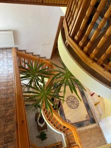 an overhead view of a staircase with plants at Panoramic Villa in Predeal in Predeal +17 photos