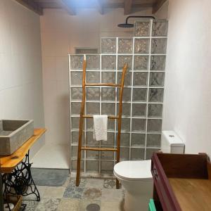 a bathroom with a toilet and a glass block wall at Casa ASCARIUS in Escarigo +14 photos