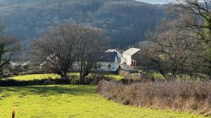 una casa en una colina en un campo con árboles en Chaintre La Vallée, en Château-Chinon