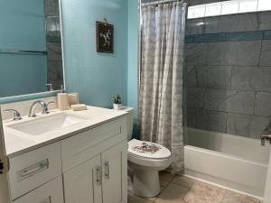 un bagno con lavandino, WC e doccia di Quiet Cozy Private Room Perfect for Work or Vacation RM2 shared home a Sarasota Altre 36 foto