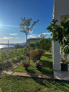 Fotografia z galérie ubytovania Apartments Jasna v destinácii Podstrana + 41 fotografií