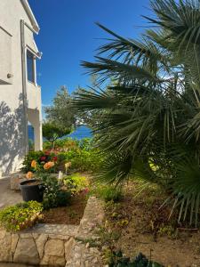 Fotografia z galérie ubytovania Apartments Jasna v destinácii Podstrana