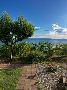 Fotografia z galérie ubytovania Apartments Jasna v destinácii Podstrana