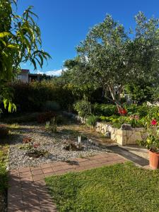 Fotografia z galérie ubytovania Apartments Jasna v destinácii Podstrana