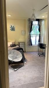 Χώρος καθιστικού στο Private Room View Pool Big Gated Estate 2Acre Oasis Female Share Inside Men Outside Only SD +12 φωτογραφίες