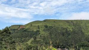 a green hill with trees on the side of it at Luna home in Badulla