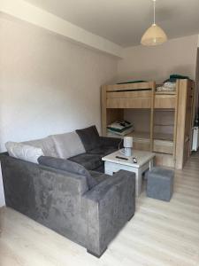 una sala de estar con un sofá y una cama en Didveli Residence Apartment, en Bakuriani