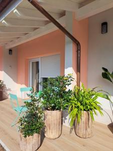 two potted plants in barrels on a patio at La Alegria de la Huerta Cudillero in Cudillero