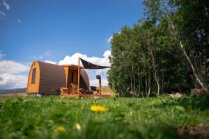 a yurt in a field with grass and trees at RAZBIBRIGA - Riverside Camping Pod by IGLENA in Kupres +26 photos