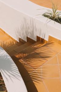 a shadow of a plant on the side of a building at Apartamentos Princesa Guayadeque in Puerto del Carmen