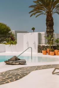 a swimming pool with a fountain and a palm tree at Apartamentos Princesa Guayadeque in Puerto del Carmen