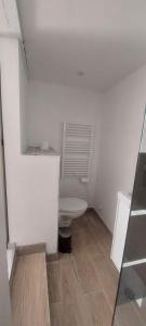 a white bathroom with a toilet in a room at APPARTEMENT 4 PERSONNES 100 metres du Lac jardin privé in Doussard