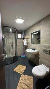 a bathroom with a shower and a toilet and a sink at Vila Tea Durmitor in Žabljak +32 photos