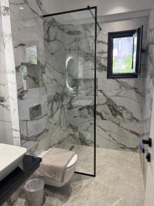 a bathroom with a shower and a toilet and a sink at Vironas Hotel in Himare +167 photos
