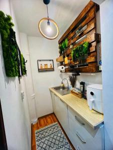 Køkken eller tekøkken på Apartament Gossip XOXO