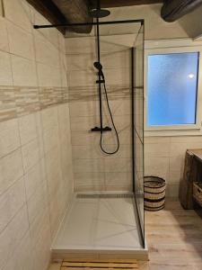 a shower with a glass enclosure in a bathroom at La Maison Delle Spellé in Piolenc