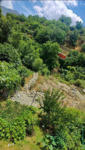 Φωτογραφία από το άλμπουμ του Kasbah Itran Appart σε Setti Fatma