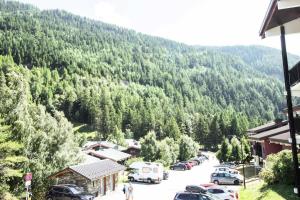 Peisaj natural din apropierea acestui apartament