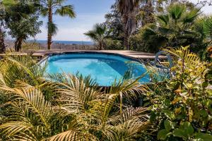 a swimming pool surrounded by plants and trees at Villa Gardenia - Oceanfront Casa Cactus in Todos Santos