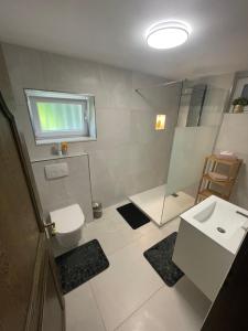 a bathroom with a toilet and a sink at Green House in Neunkirchen