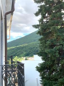 a view from the balcony of a house with a tree at Casa Gagliano Aterno in Gagliano Aterno