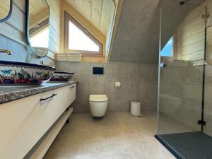 Ένα μπάνιο στο Brzozowa Chata +26 φωτογραφίες