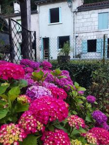 En have udenfor La Suzanne