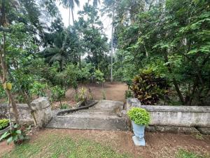 Gallery image of Kuruduwatta Bungalow in Induruwa
