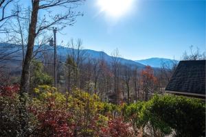 a view of the mountains from the roof of a house at Honey Bear in Rocky Grove