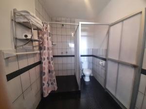 a small bathroom with a toilet and a shower at Terra House Hostel in Cusco +82 photos