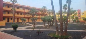 a courtyard with palm trees in front of a building at La mariposa in Parque Holandes