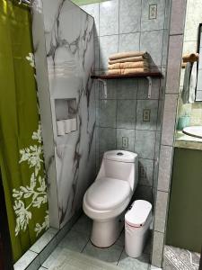 a bathroom with a toilet and a sink at Caribbean View House in Tortuguero +118 photos