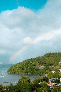 a view of a large body of water with trees at Anse Caraïbes Appartement in Les Trois-Îlets
