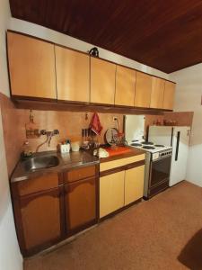 a small kitchen with a sink and a refrigerator at Vikendica Katarina in Ovčar Banja +5 photos