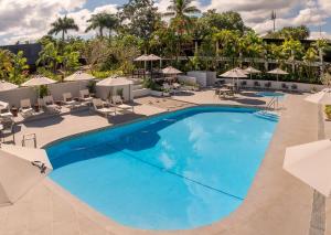 una piscina con sillas y sombrillas en un hotel en Tanoa International Hotel, en Nadi