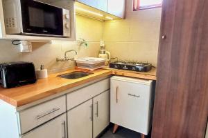 a small kitchen with a sink and a microwave at ORIGEN Centro Monoambiente in El Bolsón +8 photos