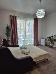 Gallery image of Apartament en bord de mer in Nice