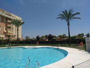 a swimming pool with a palm tree and a building at Paraiso alquiler vacacional in Málaga