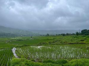 Fotografie z fotogalerie ubytování The 1970 - Rajgad v destinaci Welhe